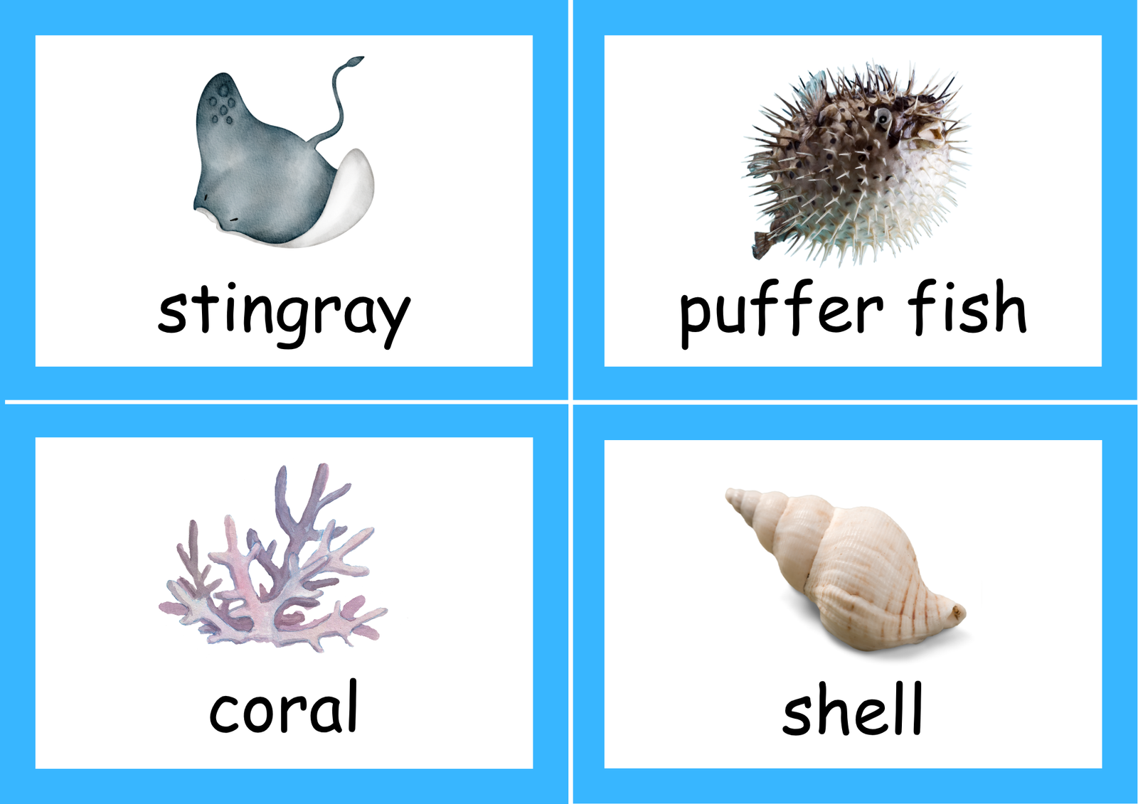 sea animals picture booklet tool sea animals picture booklet tool