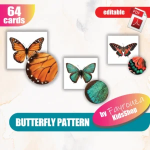 Butterfly Pattern