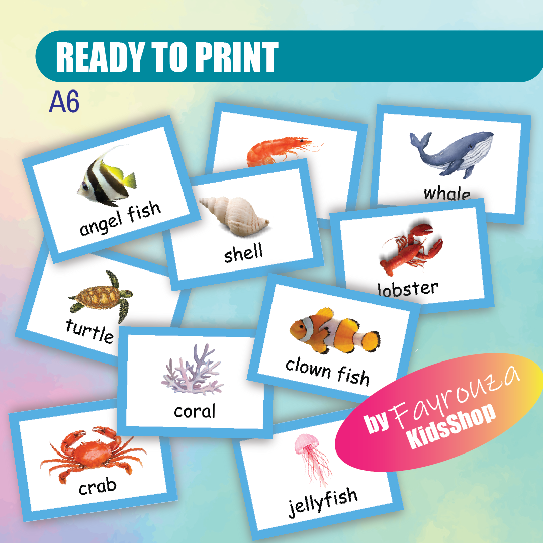 sea animals picture booklet tool sea animals picture booklet tool