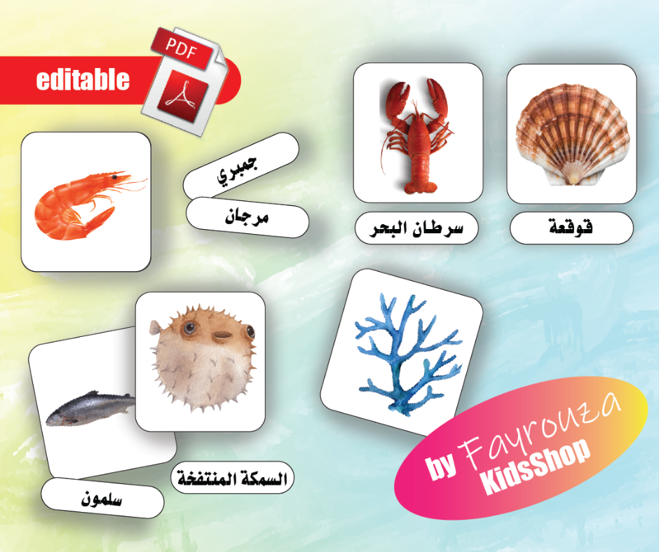الفاكهة (copy) الفاكهة (copy)