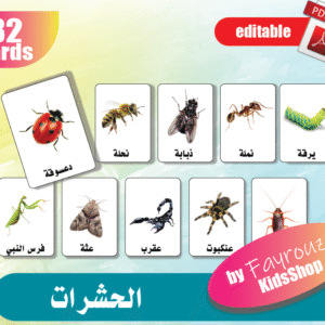 حشرات
