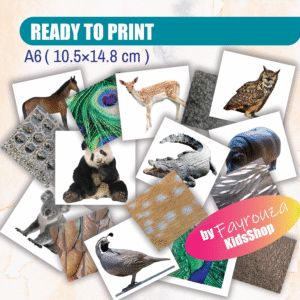 animal pattern